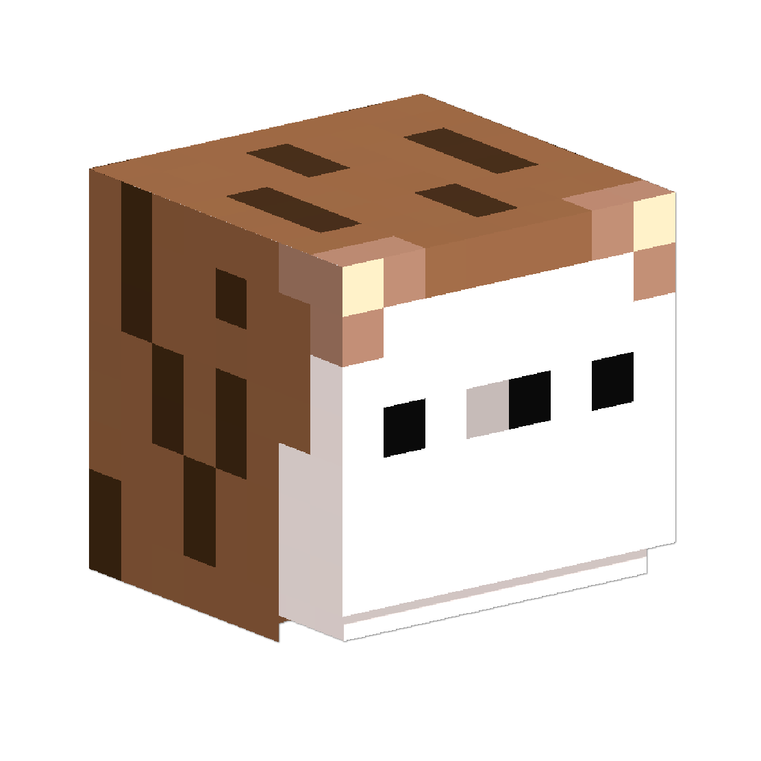Server Icon
