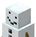 Server Icon
