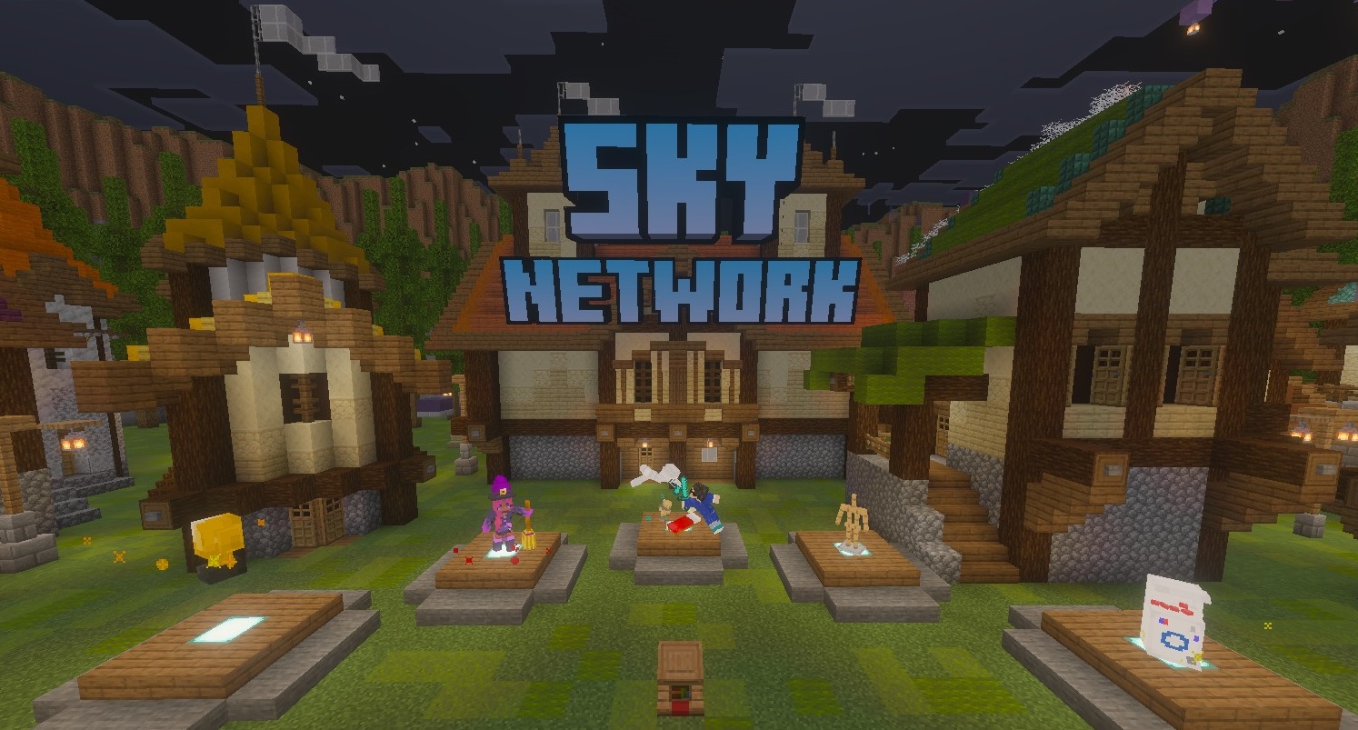 SKY NETWORK バナー